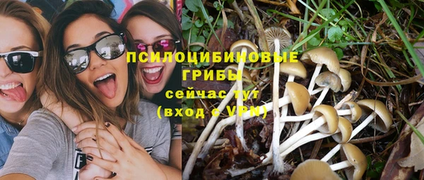 прущий лед Белоозёрский
