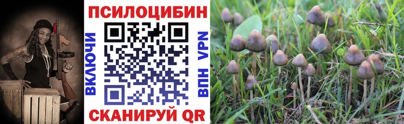 Галлюциногенные грибы Psilocybine cubensis  закладка  Боровичи 