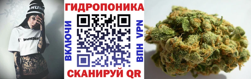 продажа наркотиков  Боровичи  Канабис SATIVA & INDICA 
